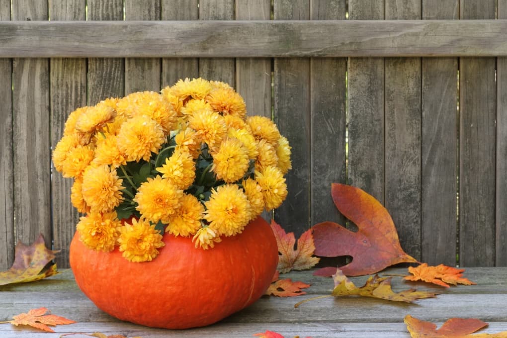 Pumpkin Planters