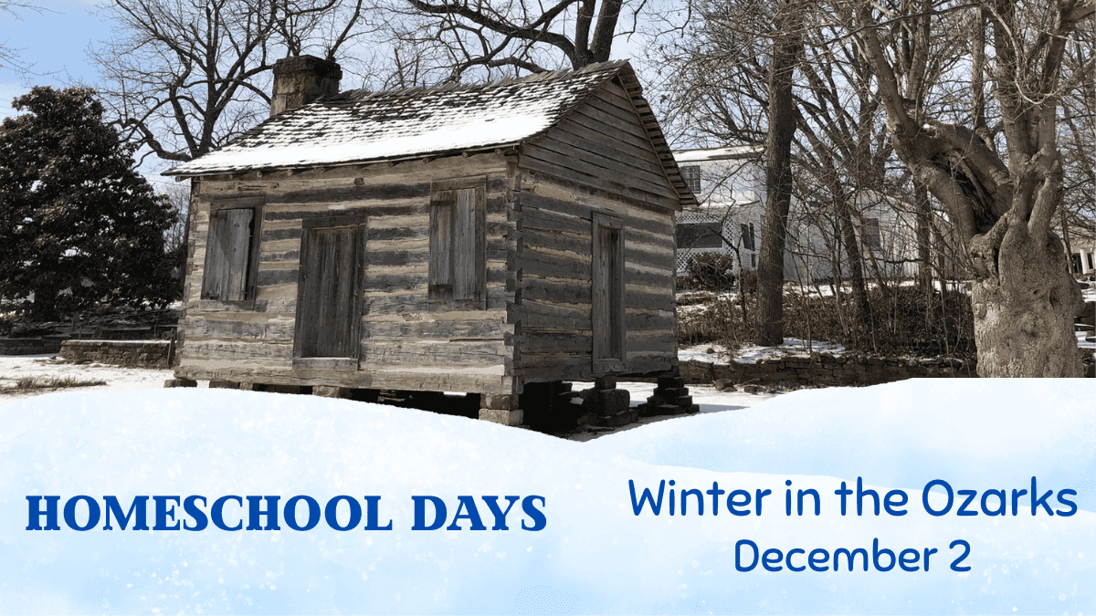 Homeschool Days: Winter in the Ozarks
