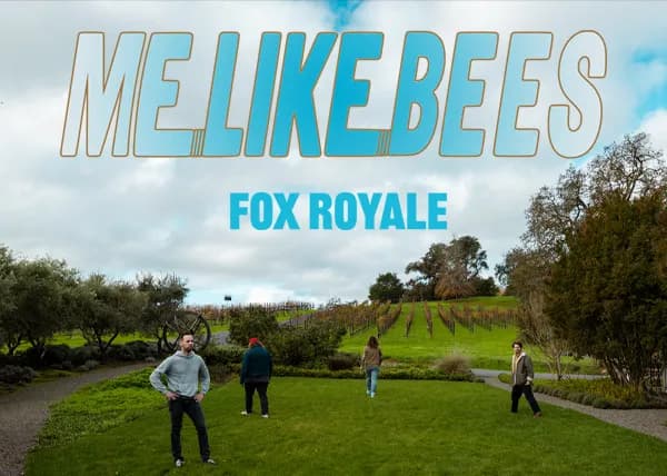 Me Like Bees