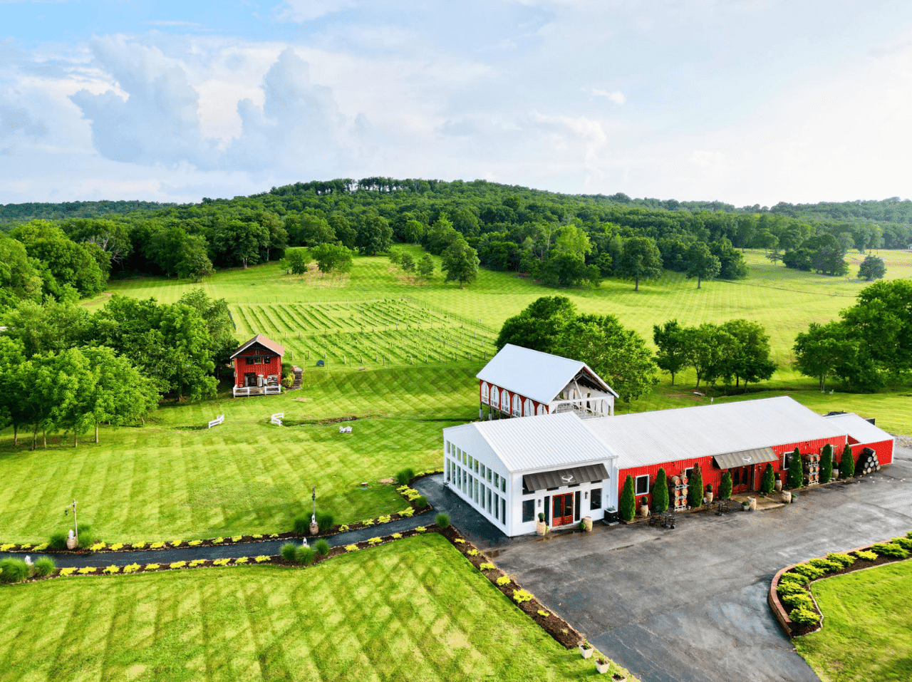 Tasting and Tour at Sassafras at Sassafras Springs Vineyard & Winery